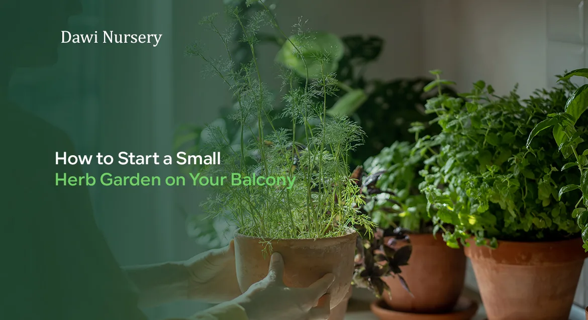 How to Start a Small Herb Garden on Your Balcony