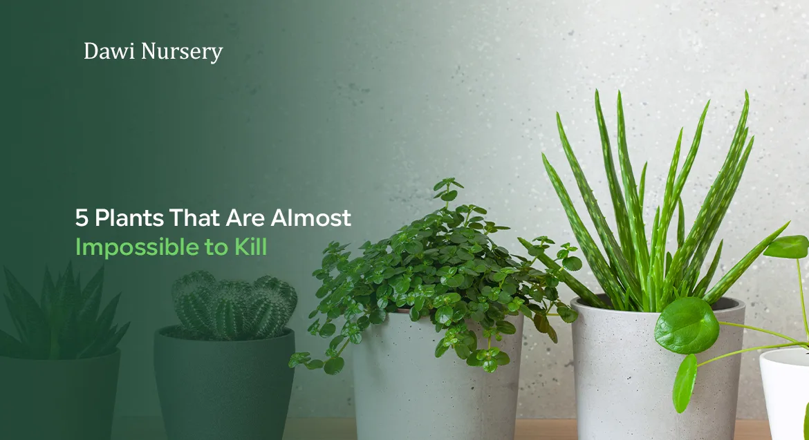 5 Plants That Are Almost Impossible to Kill