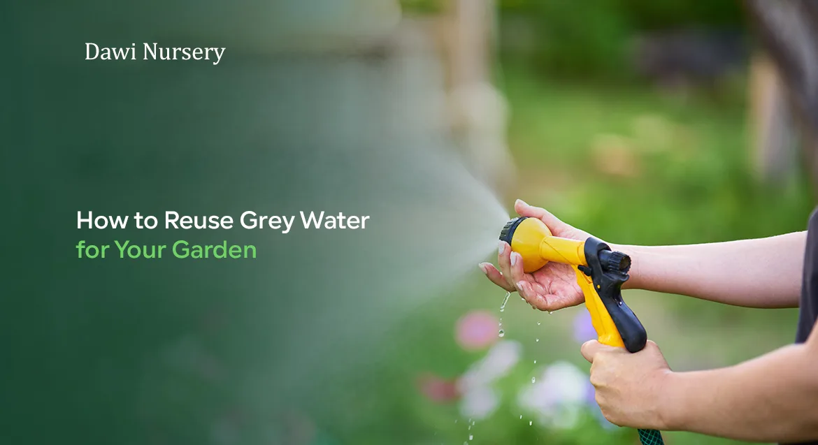 How to Reuse Grey Water for Your Garden
