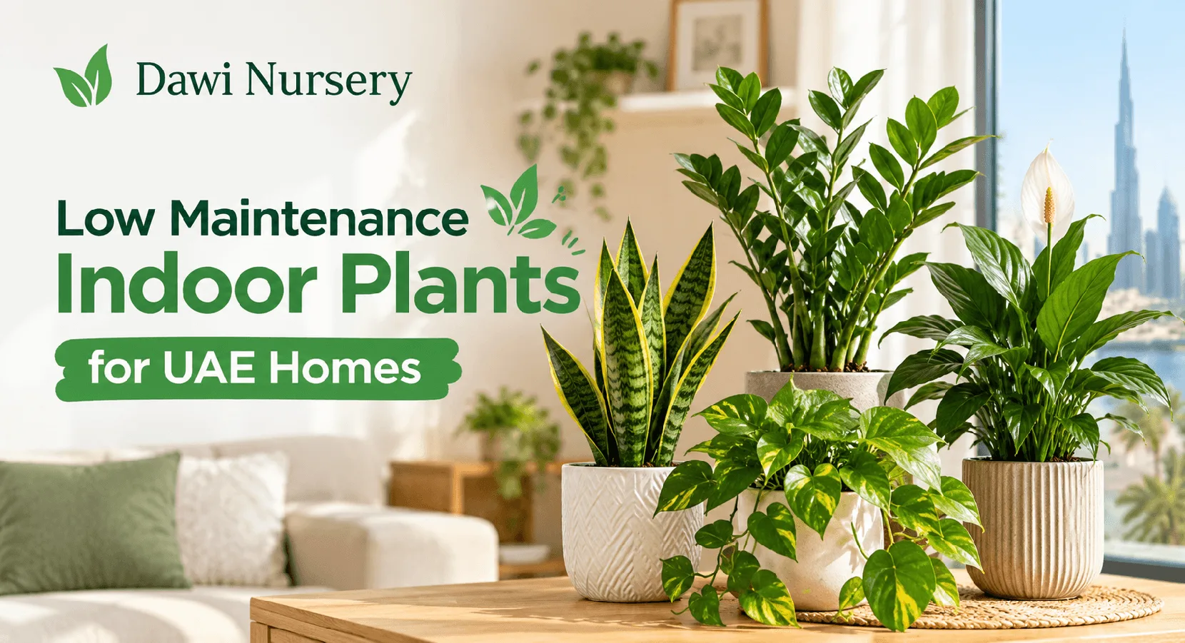 Low Maintenance Indoor Plants for UAE Homes