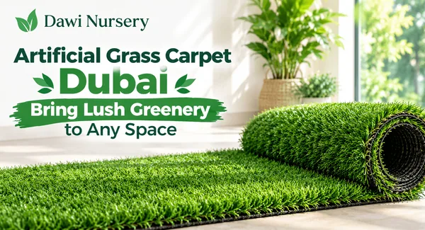 Artificial Grass Carpet Dubai – Bring Lush Greenery to Any Space