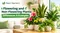 Flowering and Non-Flowering Plants: Types, Differences, Benefits, and Examples