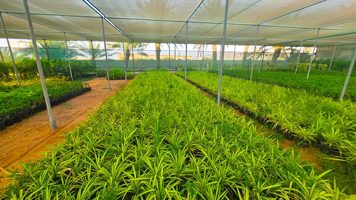 Propagation Tables
